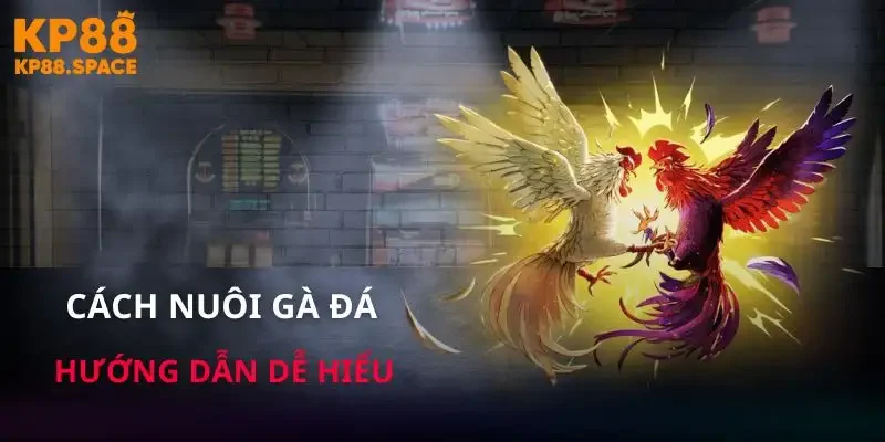 cach-nuoi-ga-da